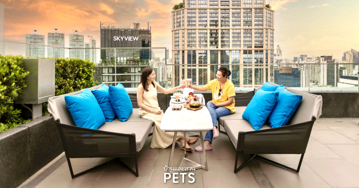Pet Friendly Hotels